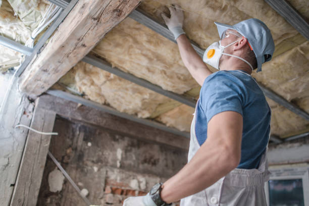 Best Cellulose Insulation in Scenic, AZ