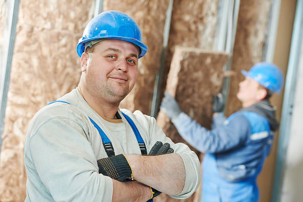 Best Geographic-Specific Insulation Services in Scenic, AZ
